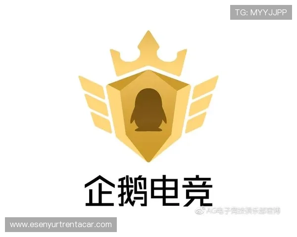 ag在线电子游戏玩法攻略，助你轻松掌握游戏技巧与策略