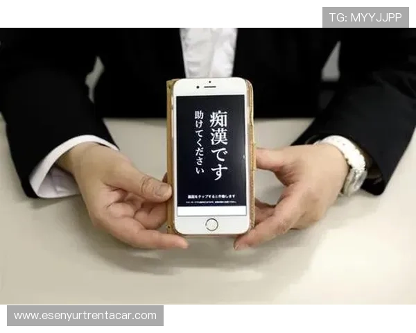 全面解析FG电子APP的安全性与隐私保护措施保障玩家账号信息安全的实用技巧