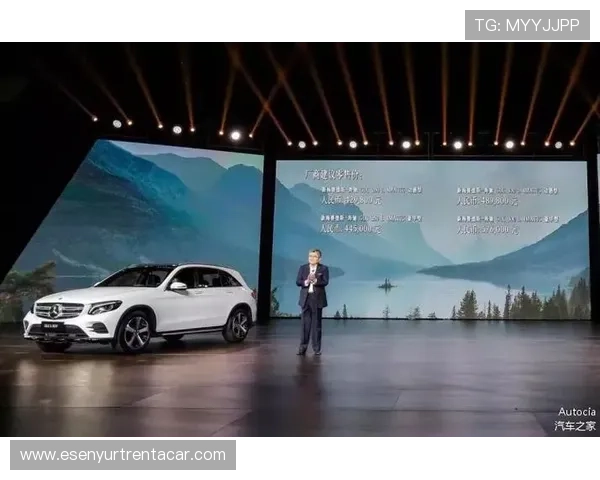 奔驰宝马下注常见问题解答及专家建议，解决玩家在游戏中的疑虑